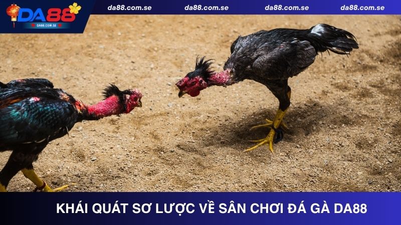 Đá Gà DA88 - Tận Hưởng Những Trận Đấu Kịch Tính, Gay Cấn - IVONIX.BIZ