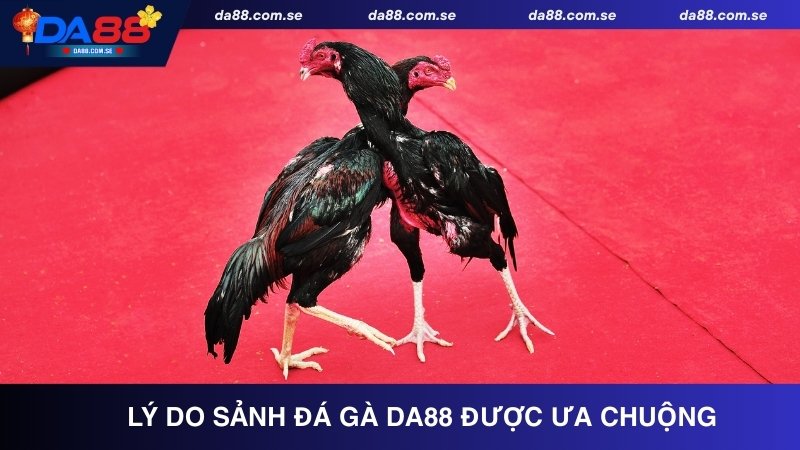 Đá Gà DA88 - Tận Hưởng Những Trận Đấu Kịch Tính, Gay Cấn - IVONIX.BIZ
