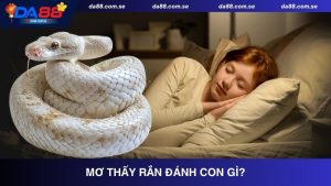 Mẹo Cá Cược Nâng Cao Kỹ Năng Chiến Thắng Khi Chơi DA88 - IVONIX.BIZ