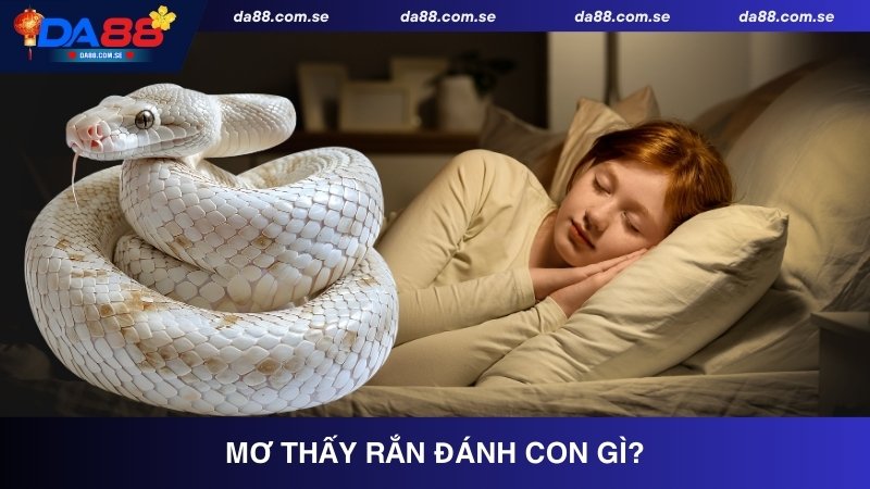 Mơ Thấy Rắn Đánh Con Gì? Giải Mã Và Tìm Con Số May Mắn - IVONIX.BIZ