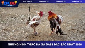 Top Game DA88 Nơi Hòa Mình Vào Cảm Xúc Thăng Hoa Bất Tận - IVONIX.BIZ